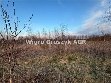 Na sprzedaż działka 19 824 m² z warunkami zabudowy i prądem działka Ludwikowo