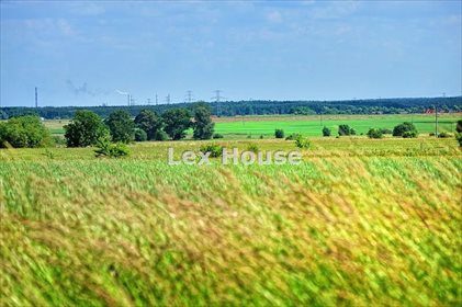 Działka budowlana na sprzedaż Dębostrów 1 880m2 Foto 1
