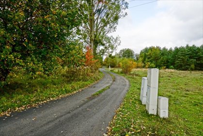 działka na sprzedaż 2500m2 działka Radziejowice-Parcel, Aleja Lipowa