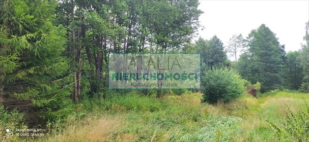 Działka 3000 m² w Budach Zosinych, media miejskie działka Budy Zosine
