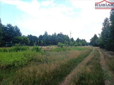 działka na sprzedaż 3000m2 działka Szymanówek