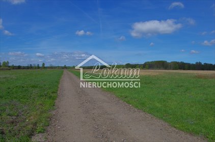 Działka 3260m2 pod zabudowę w Niedźwiedziu, blisko jeziora działka Niedźwiedź