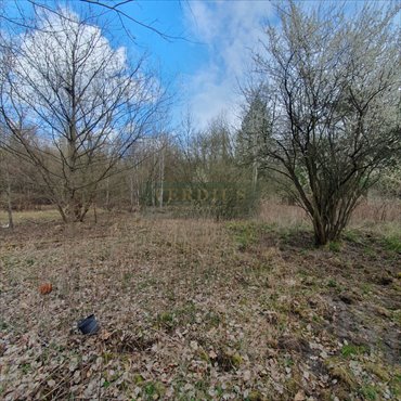 działka na sprzedaż 3364m2 działka Warszawa, Wawer Radość, Kwitnącej Akacji