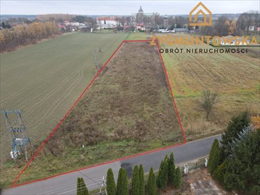 działka na sprzedaż 5214m2 działka Poświętne, Poświętne, Poświętne