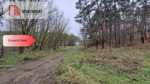 działka na sprzedaż 4000m2 działka Grabowiec