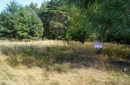 Działka leśna na sprzedaż Firlej 3 200m2 Foto 1