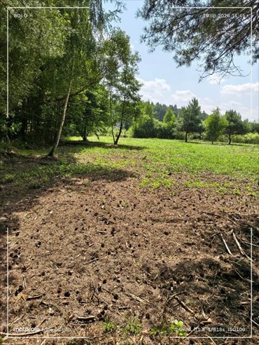 Działka budowlana 3200 m² w Antoniewie zapraszam działka Antoniew