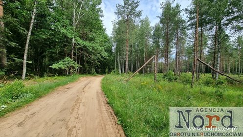 Sprzedam działkę 1485 m² w Gorczycy z mediami i lasami działka Gorczyca