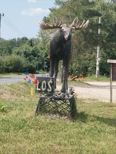 działka na sprzedaż 9000m2 działka Łoś