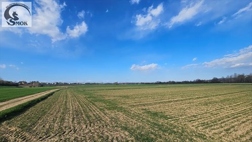 Działka 11 a pod dom w Pierzchowie – media w ulicy działka Pierzchów
