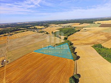 Działka 10 138 m² z warunkami zabudowy i mediami działka Rywałd