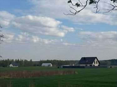 Przestronna działka 1005 m² w leśnym otoczeniu Miłoszyc działka Miłoszyce