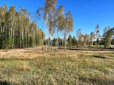 działka na sprzedaż 1004m2 działka Orchówek