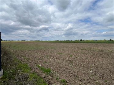 Działka 1000m2 Paprotnia – buduj się od zaraz! działka Paprotnia