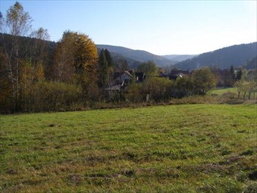 działka na sprzedaż 3412m2 działka Krempna