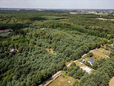 Działka na sprzedaż 88 921 m² w Pelagii – atrakcyjny teren pod inwestycję działka Pelagia, Pelagia