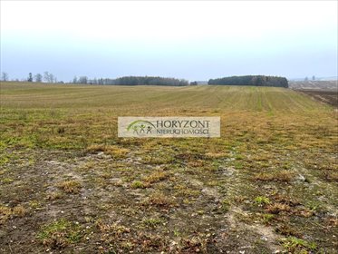 działka na sprzedaż 20000m2 działka Borcz