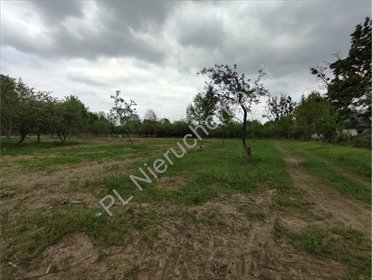 Działka budowlana 1664 m² w Książenicach, cisza i media działka Książenice