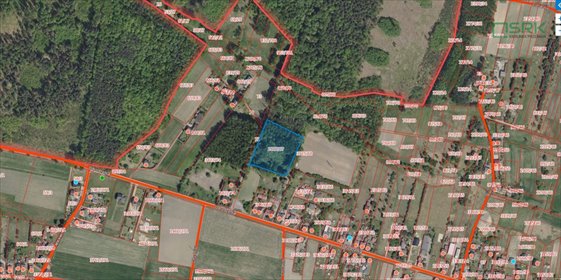 działka na sprzedaż 8309m2 działka rybnicki, Odrodzenia