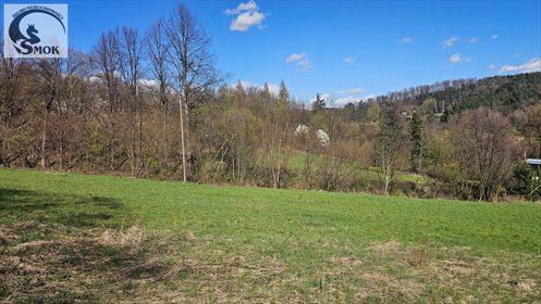 działka na sprzedaż 1830m2 działka Czasław