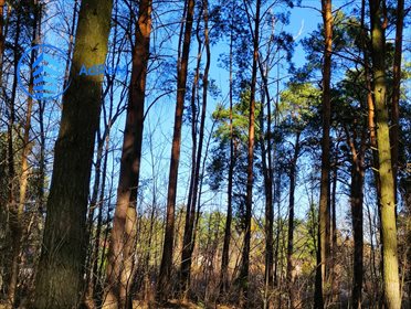 działka na sprzedaż 2580m2 działka Konstancin-Jeziorna