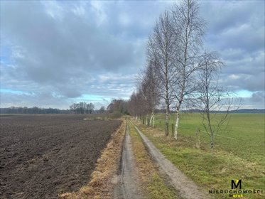 Polecam działkę rolną z prawem zabudowy i mediami, pod farmę działka Leszczyn