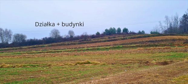 Działka 3,8 ha z budynkami, lasem i potencjałem biznesowym działka Wysokie