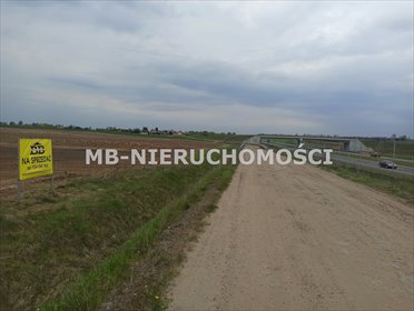 Działka na sprzedaż 47816m2 działka Królikowo