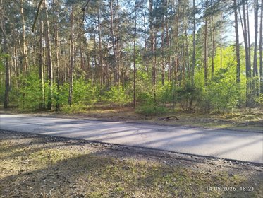 Działka budowlana 1200 m² Helenów, MPZP działka Helenów