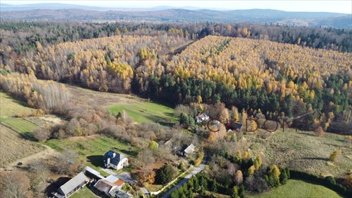 Działka 23 800 m² z potencjałem inwestycyjnym działka Cisów