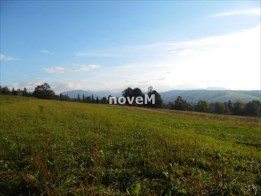 działka na sprzedaż 2508m2 działka Dzianisz