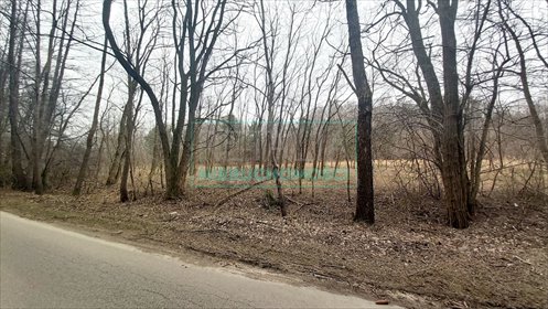 działka na sprzedaż 56000m2 działka Korabiewice