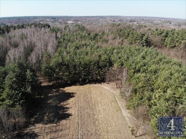 Zapraszam do obejrzenia działki 6200 m² w Szarwarku działka Szarwark