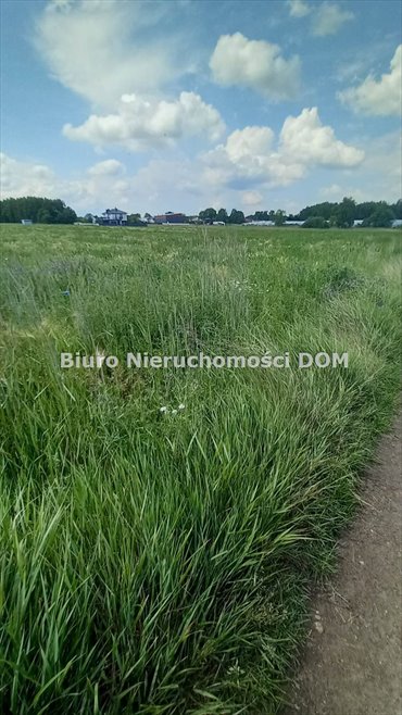 działka na sprzedaż 13401m2 działka Biała Górna