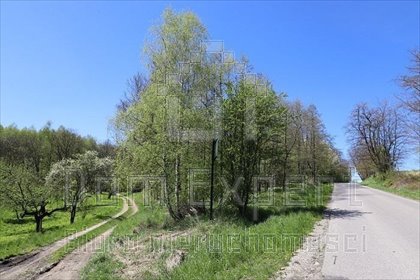Działka inna na sprzedaż Brzoskwinia, Popówka, Brzoskwinia 8 200m2 Foto 2