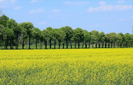 Inwestycyjna działka 6361 m2 z mediami i wjazdem. działka Tychy