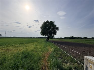 Działka pod inwestycję w Przęsocinie – 4606 m², możliwość podziału działka Przęsocin