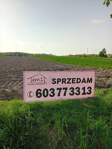 działka na sprzedaż 4160m2 działka Łany Wielkie, Łabędzka