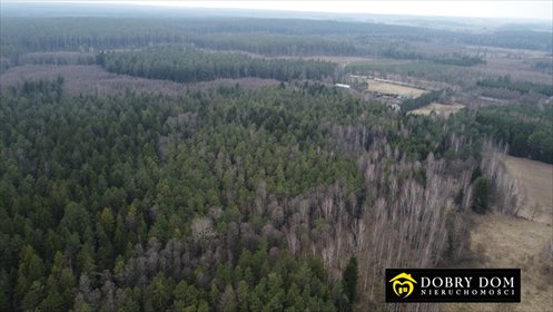 działka na sprzedaż 17700m2 działka Straż