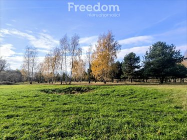 działka na sprzedaż 1200m2 działka Stare Budy Radziejowskie, Wierzby