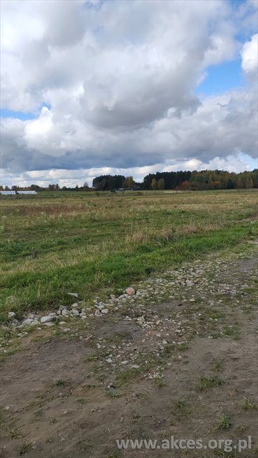 działka na sprzedaż 4900m2 działka Mroków, Szkolna