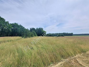 Działka budowlana na sprzedaż Zalesie 5 000m2 Foto 2