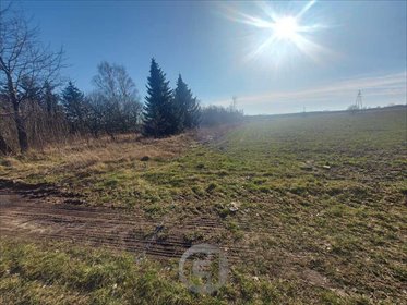 działka na sprzedaż 1301m2 działka Gorzów Wielkopolski, Zieleniec