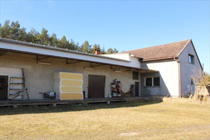 Lokal użytkowy na wynajem Lubogoszcz 1 100m2 Foto 3