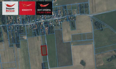 działka na sprzedaż 5000m2 działka Kunki