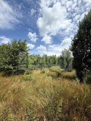 Do sprzedania działka 1435 m² z MPZP i mediami w drodze działka Zalesie