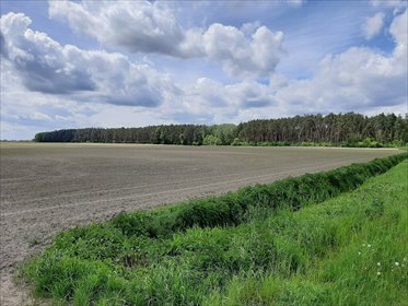 Działka na sprzedaż 4,5 ha w Zdunach – atrakcyjna oferta! działka Zduny, Rochowska