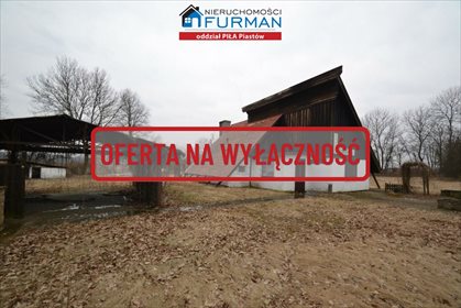 Lokal użytkowy na wynajem Stara Łubianka 71m2 Foto 2