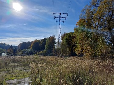 Na sprzedaż działka inwestycyjna 27 800 m² przy DK30 w Olszynie działka Olszyna, DK30
