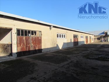 Magazyn na sprzedaż Chmielewo 698m2 Foto 6